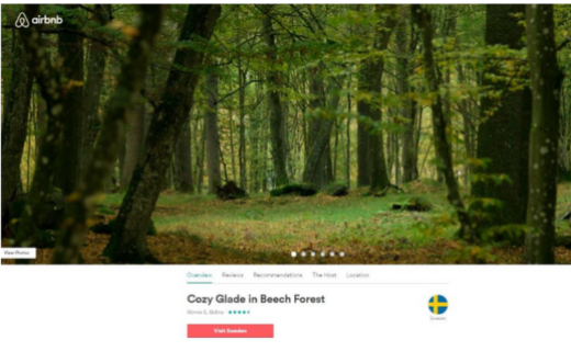 Une forêt de hêtres sur le site Airbnb x Visit Sweden