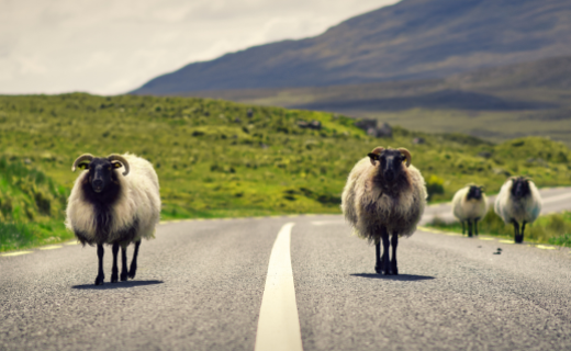 Adobe Stock - @Hq Visual Studio (c) - Irlande_Great_Gathering.png