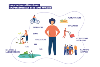 Source : Extrait du livret « AGIR pour un environnement favorable à la santé » – CEREMA