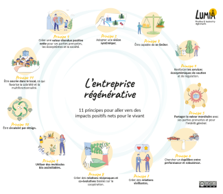 CARENEWS - Réussites, insuffisances, place de la RSE… Quel bilan pour les premiers rapports de durabilité des entreprises ?