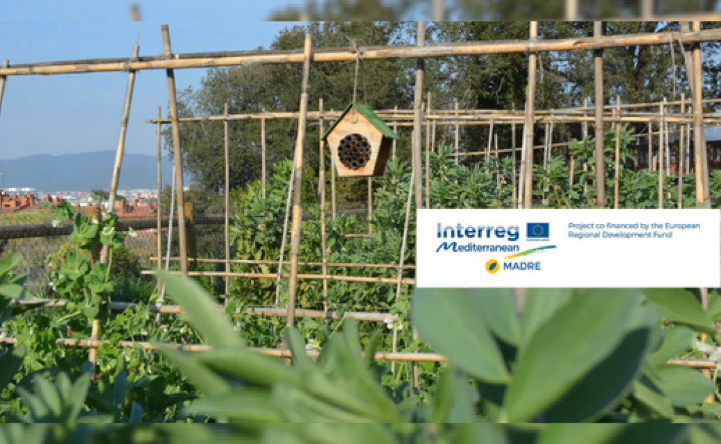 MADRE : un projet européen pour développer une agriculture durable dans les aires métropolitaines 