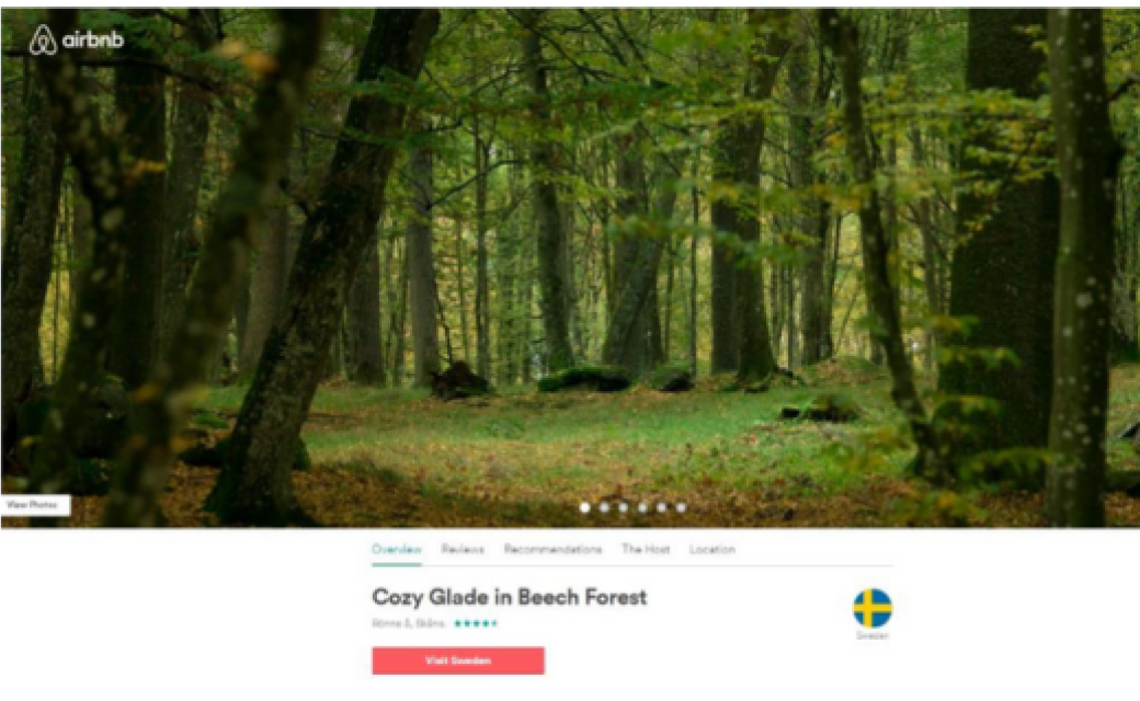 Une forêt de hêtres sur le site Airbnb x Visit Sweden