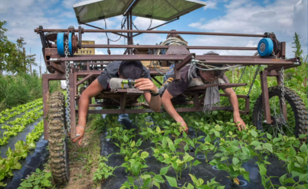 Photo : La « Ch’ti Bine » de l’Atelier Paysan. © Low-tech Lab, Julien Lemaistre